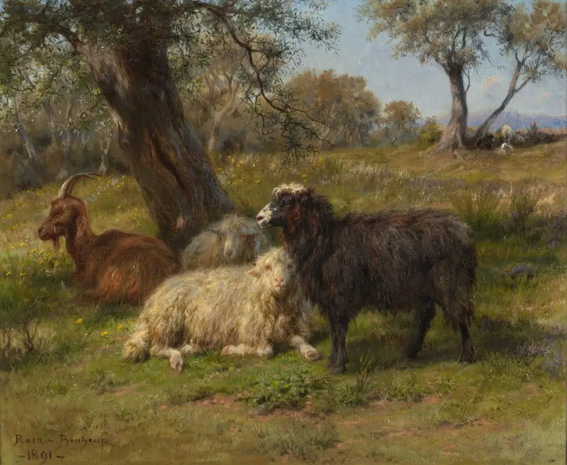 Schapen en geiten - Rosa Bonheur