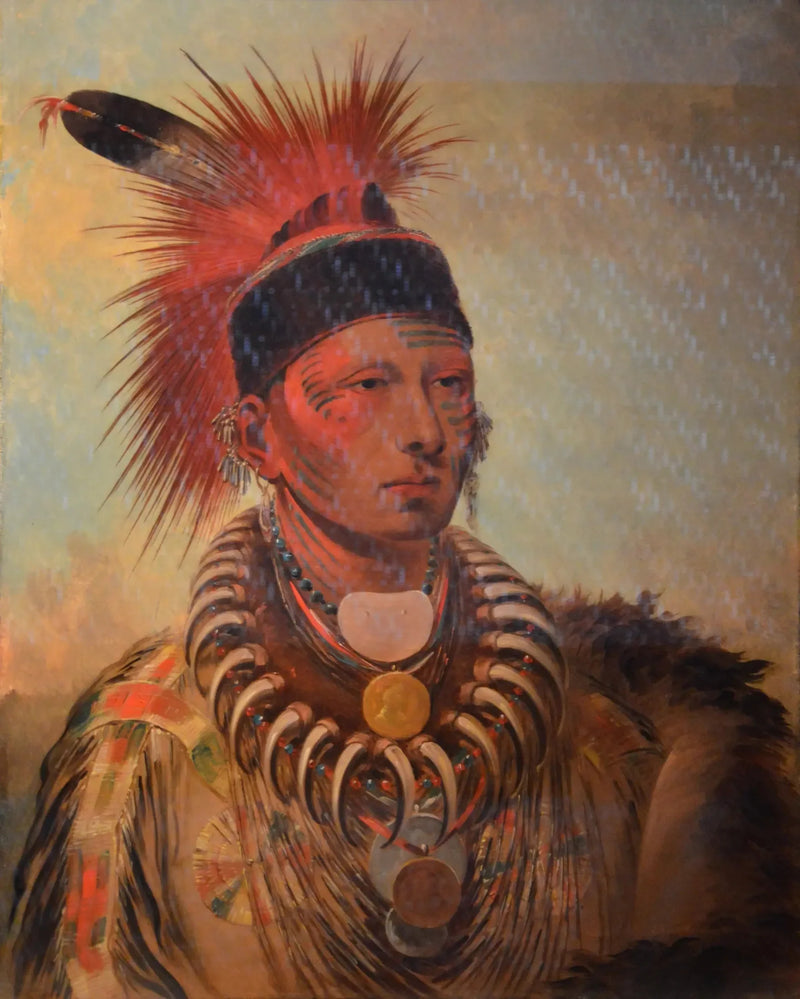Mu-hu-she-kaw (De witte wolk) - George Catlin

Source:
Mu-hu-she-kaw (Le nuage blanc) - George Catlin