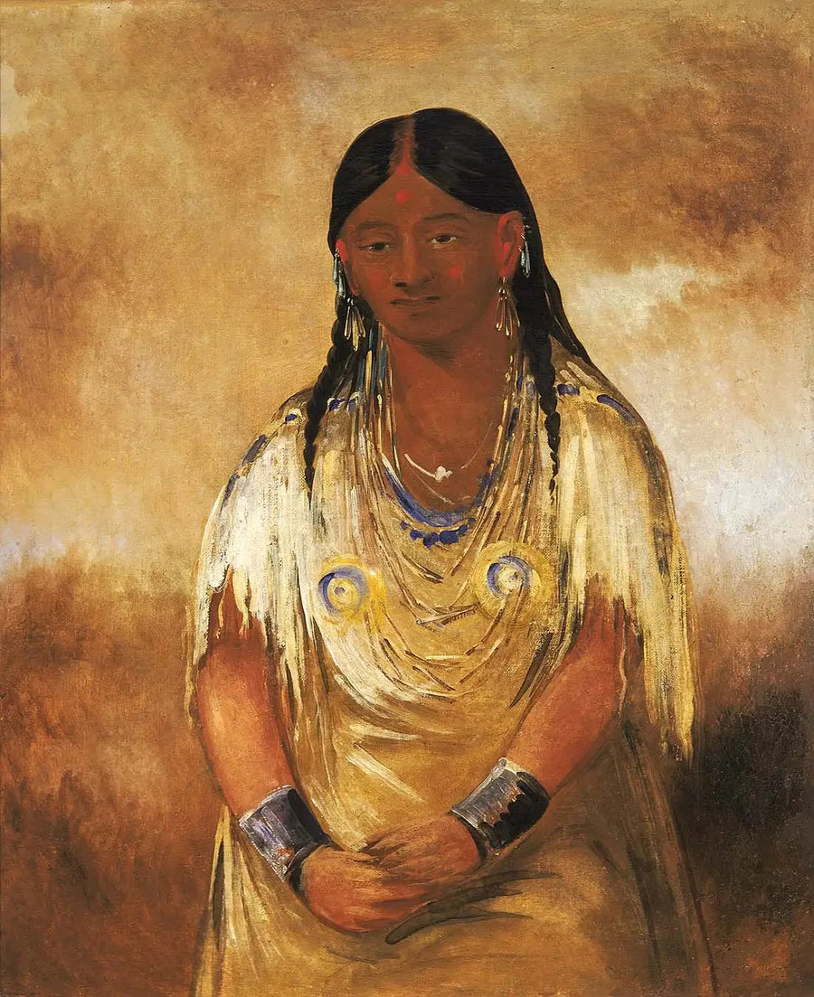 Mún-ne-o-ye, een vrouw - George Catlin

Source:
Mún-ne-o-ye, une femme - George Catlin