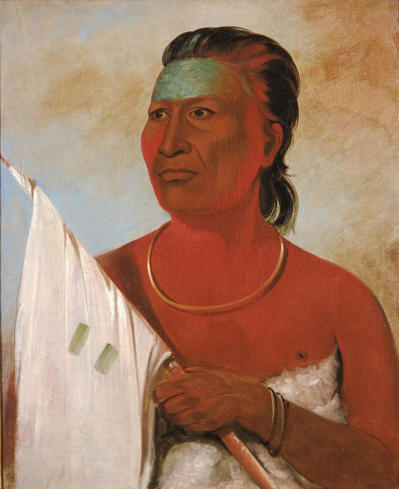 Náh-pope, soep, adviseur van Black Hawk - George Catlin

Source:
Náh-pope, Soup, conseiller de Black Hawk - George Catlin