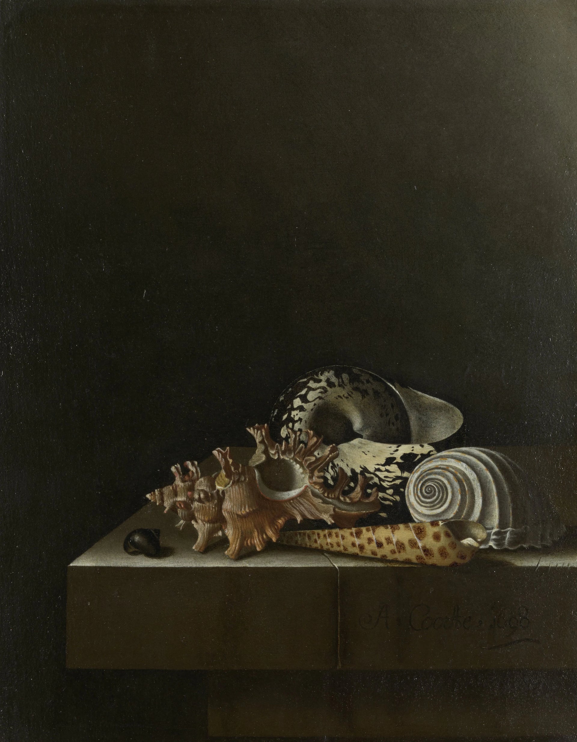Nature morte aux coquillages sur un socle en pierre - Adriaen Coorte