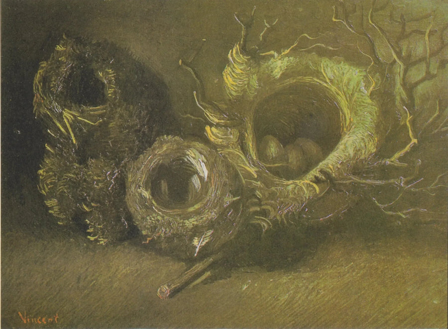 Stilleven met drie vogelnesten - Vincent van Gogh