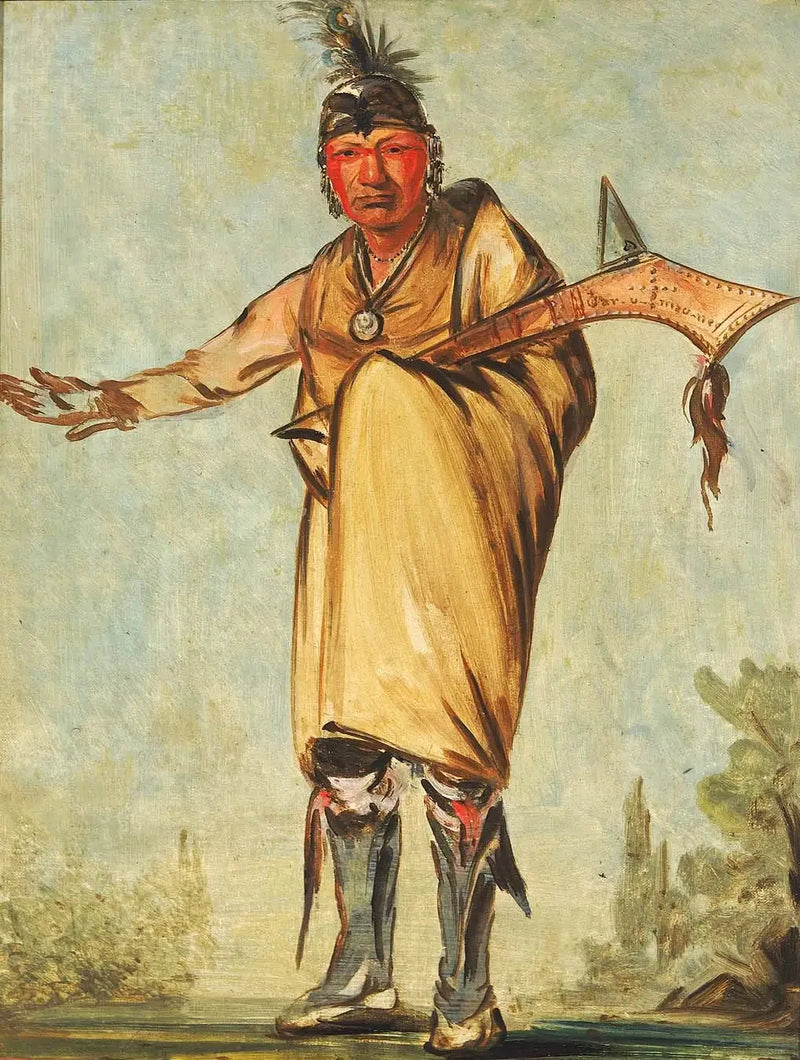 Náw-káw, hout, oude leider van de stam - George Catlin

Source:
Náw-káw, Wood, ancien chef de la tribu - George Catlin