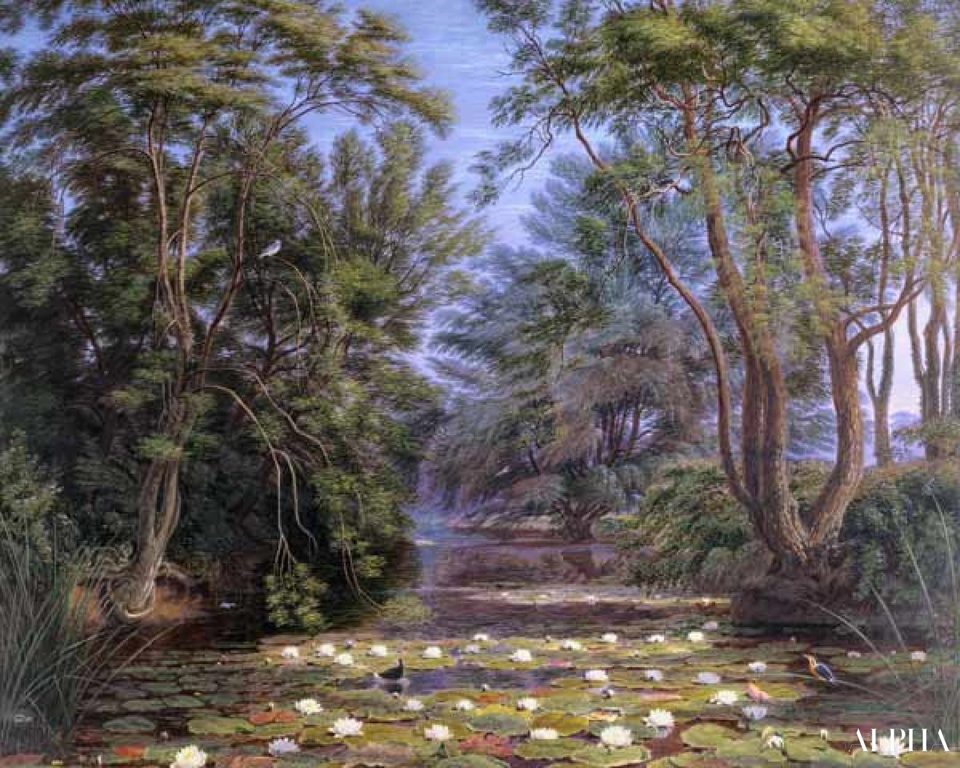 Waterlelies van de rivier Cherwell - William Turner - Reproducties van schilderijen en hoogwaardige schilderijen