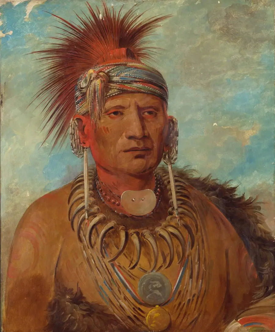 Neu-mon-ya, Regen die loopt, Oorlogshoofd - George Catlin

Source:
Neu-mon-ya, Pluie qui marche, Chef de guerre - George Catlin