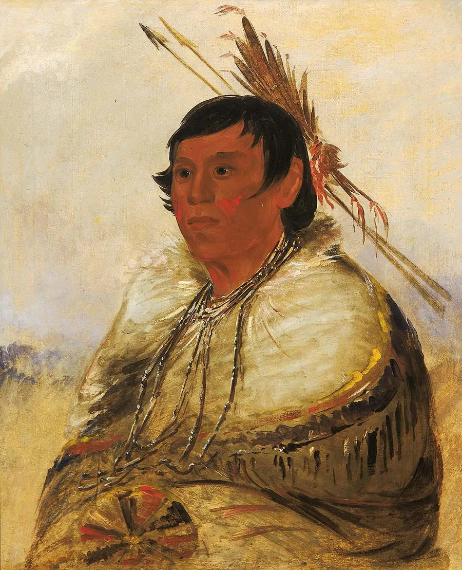 Ni-a-có-mo, Fix With the Foot, een Dapper - George Catlin

Source:
Ni-a-có-mo, Fix With the Foot, un Brave - George Catlin
