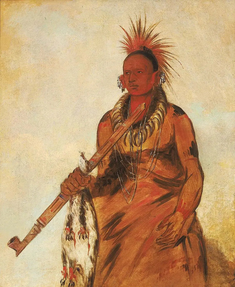 No-o-mún-nee, Wandel onder de regen, een krijger - George Catlin

Source:
No-o-mún-nee, Marche sous la pluie, un guerrier - George Catlin