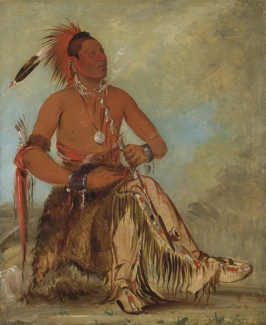 Nóm-ba-mon-nee, Double Walker, een dappere - George Catlin

Source:
Nóm-ba-mon-nee, Double Walker, un Brave - George Catlin