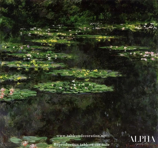 Nymphéas noirs - Monet tableau - Reproductions de tableaux et peintures haut de gamme