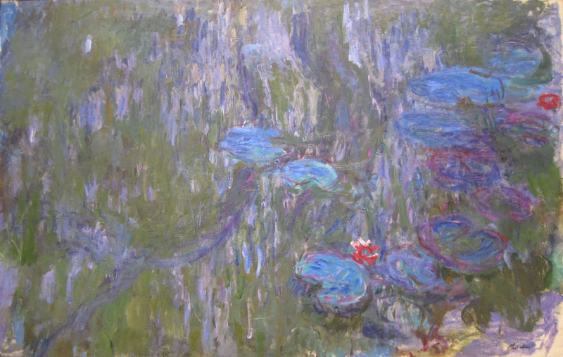 De waterlelies, de reflecties van de treurwilgen - Claude Monet
