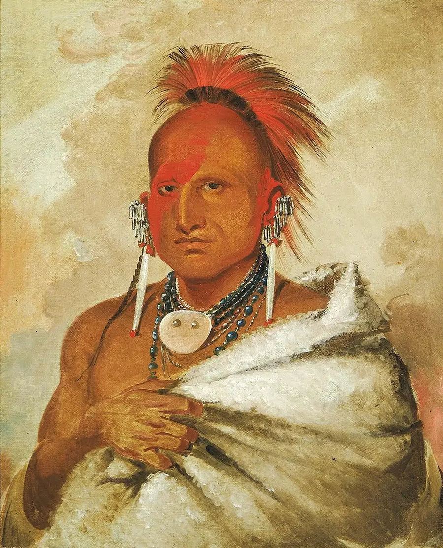 O-rón-gás-see, jager op beren, een beroemde krijger - George Catlin

Source:
O-rón-gás-see, chasseur d'ours, un guerrier célèbre - George Catlin