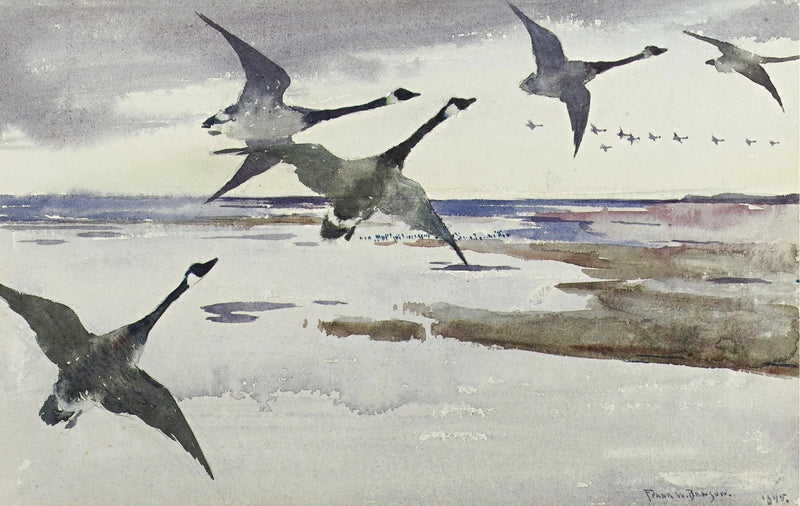 Kanadese ganzen - Frank Weston Benson