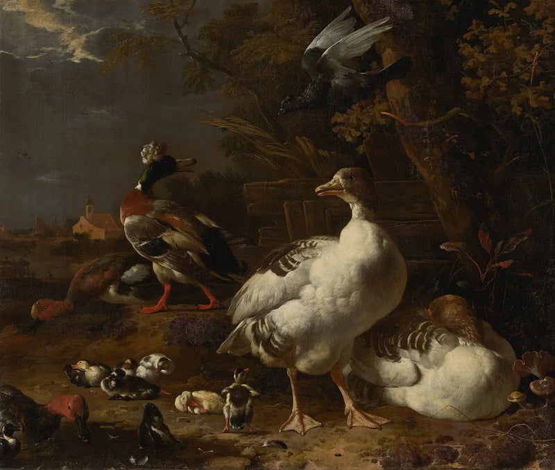  ganzen en eenden - Melchior de Hondecoeter