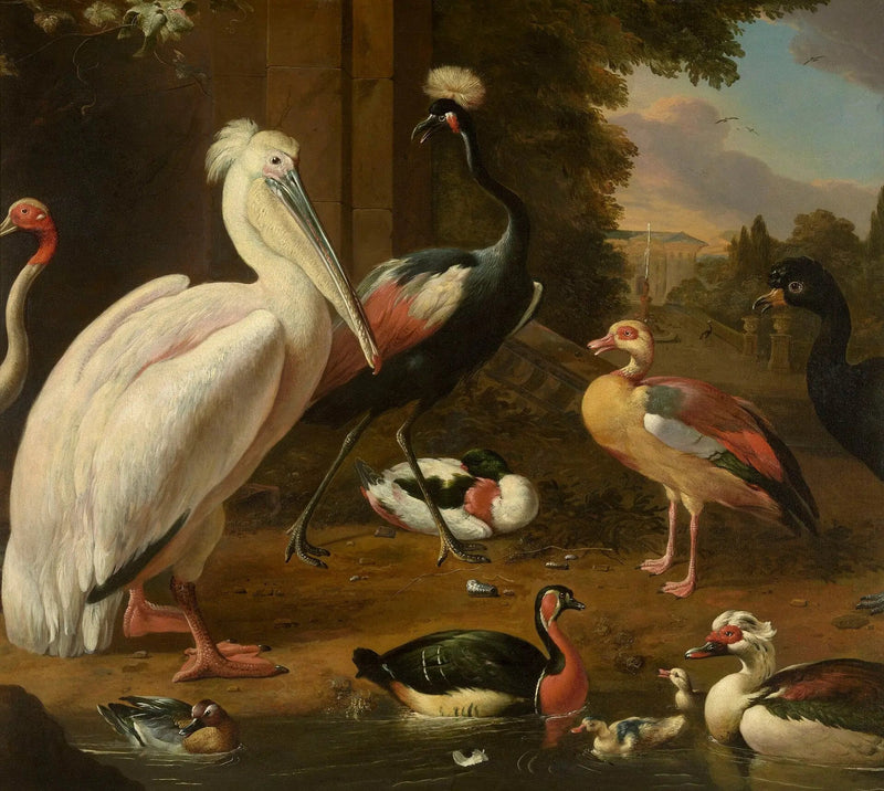 Watervogels - Melchior de Hondecoeter