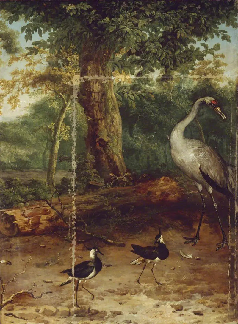Vogels in een bos - Melchior de Hondecoeter