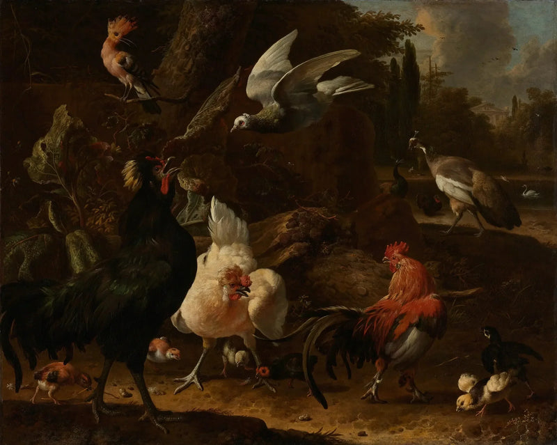 Vogels in een park - Melchior de Hondecoeter