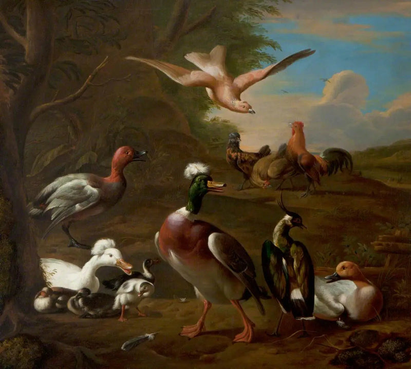 Vogels in een landschap - Melchior de Hondecoeter