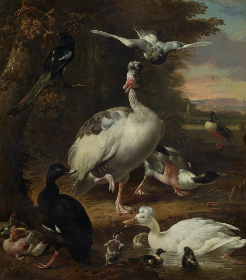 Vogels - Melchior de Hondecoeter