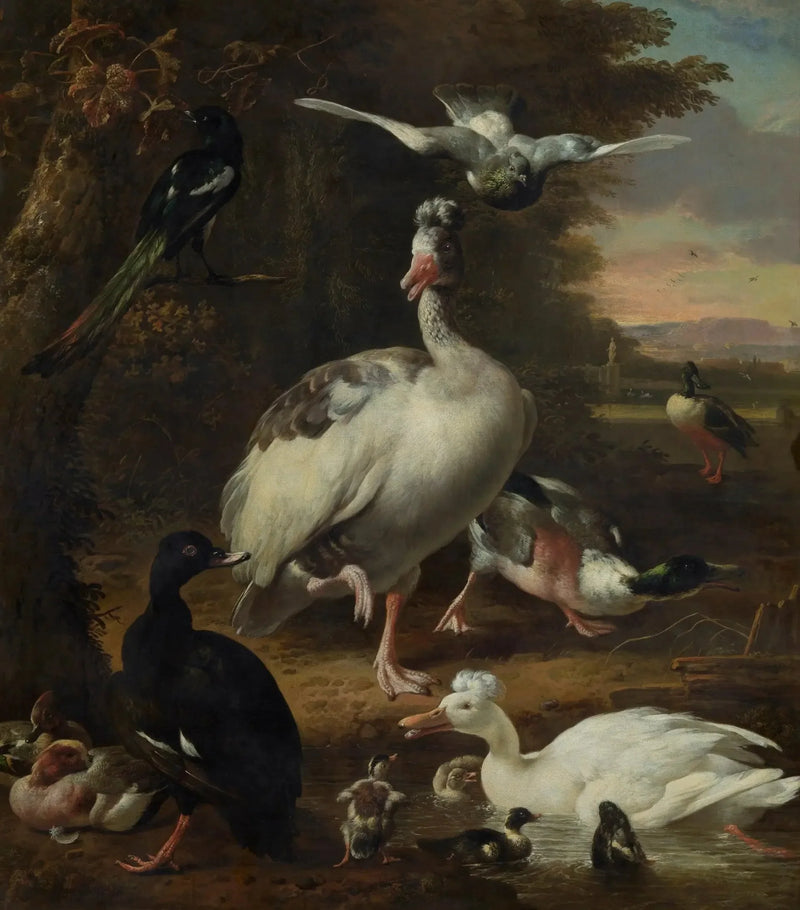 Vogels - Melchior de Hondecoeter