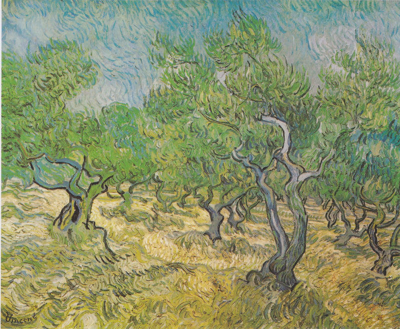 Olijfboomgaard - Vincent van Gogh