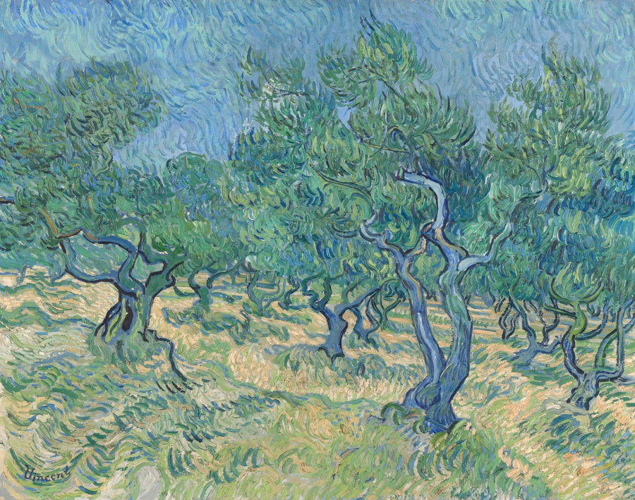 Olijfgaard - Vincent van Gogh