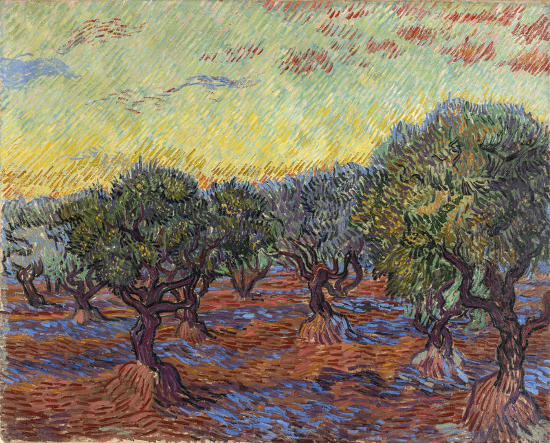 Olijfgaard, Saint-Rémy - Vincent van Gogh