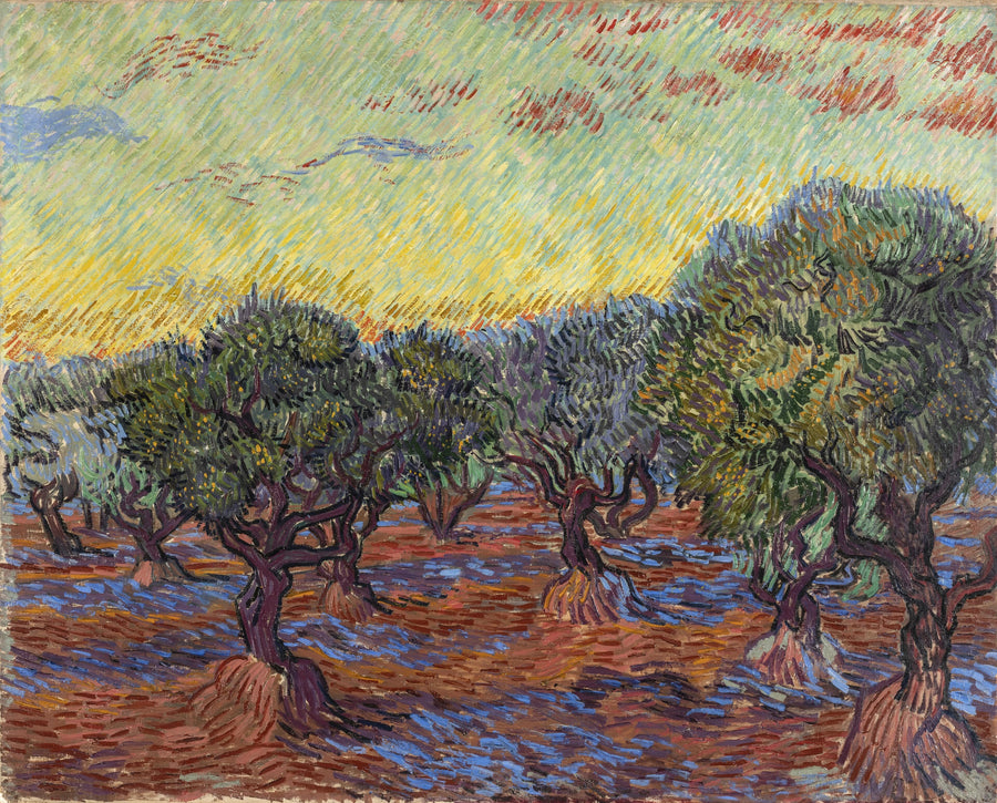 Olijfgaard, Saint-Rémy - Vincent van Gogh
