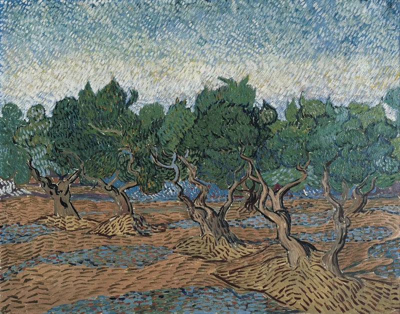 Olijfgaard - Vincent van Gogh