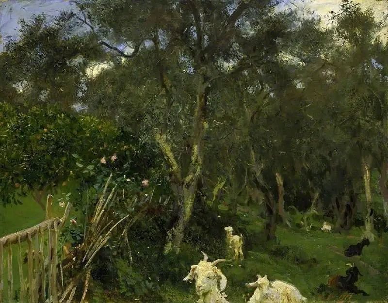 Olijven op Corfu - John Singer Sargent