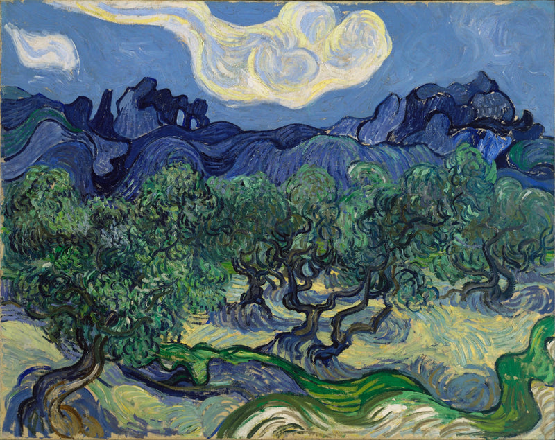 Olijven met de Alpilles op de achtergrond - Vincent van Gogh