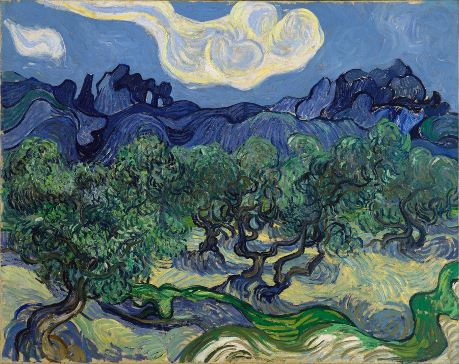 Olijven met de Alpilles op de achtergrond - Vincent van Gogh