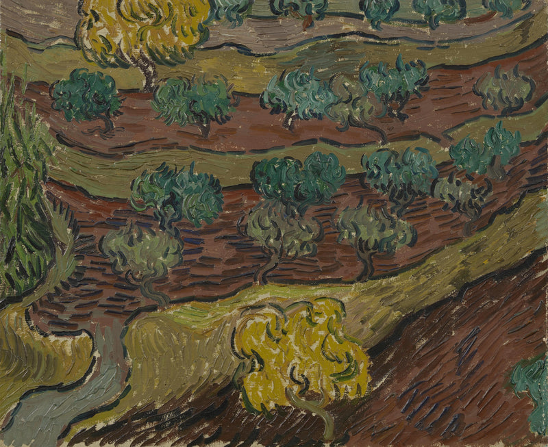 Olijfbomen op een heuvel - Vincent van Gogh