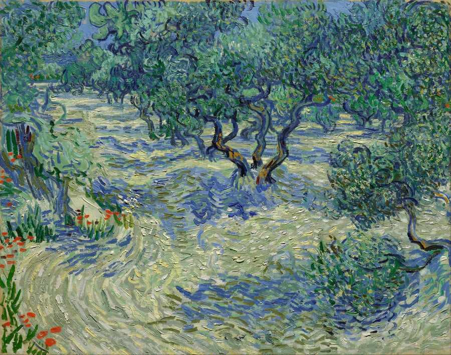 Olijfgaard - Vincent van Gogh