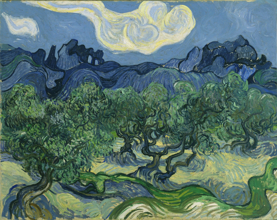 Olijfbomen - Vincent van Gogh