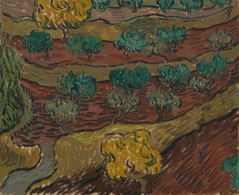Olijfbomen op een heuvel - Vincent van Gogh