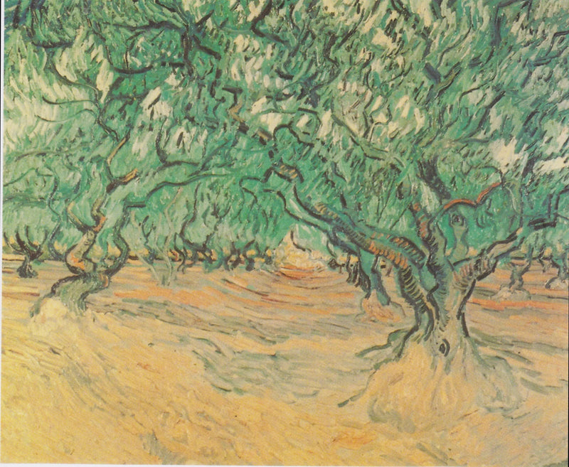 Olijfbomen - Vincent van Gogh