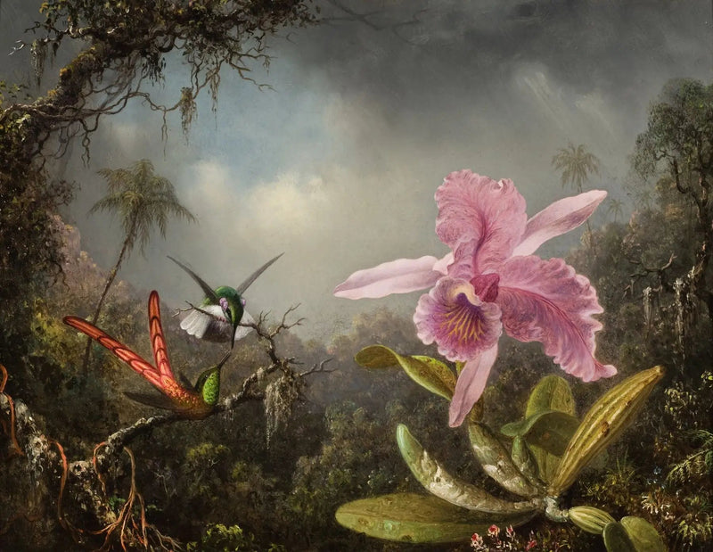 Orchidee met twee kolibries - Martin Johnson Heade

Source:
Orchidée avec deux colibris - Martin Johnson Heade