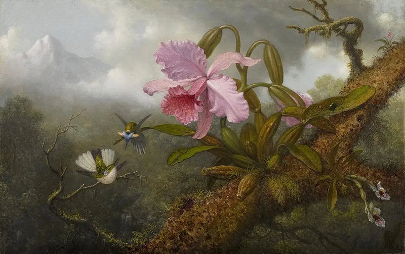 Orchidee Cattleya, twee kolibries en een kever - Martin Johnson Heade

Source:
Orchidée Cattleya, deux colibris et un scarabée - Martin Johnson Heade