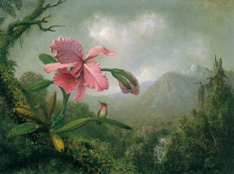 Orchidee en kolibrie bij een bergwaterval - Martin Johnson Heade

Source:
Orchidée et colibri près d'une cascade de montagne - Martin Johnson Heade