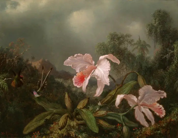 Orchideeën uit de jungle en kolibries - Martin Johnson Heade

Source:
Orchidées de la jungle et colibris - Martin Johnson Heade