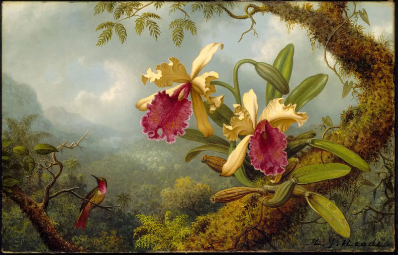 Orchideeën en kolibrie - Martin Johnson Heade

Source:
Orchidées et colibri - Martin Johnson Heade