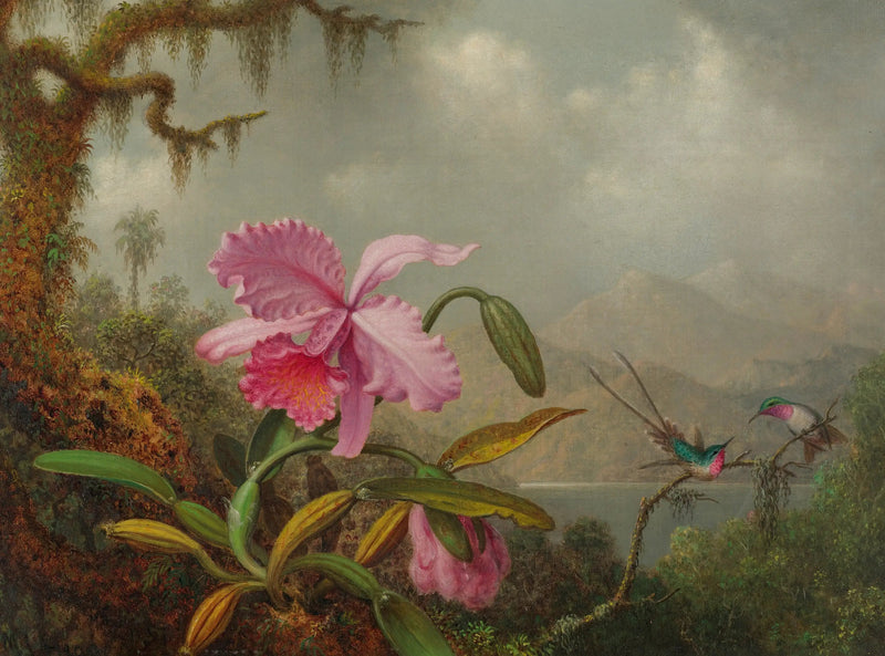 Orchideeën en kolibries - Martin Johnson Heade

Source:
Orchidées et colibris - Martin Johnson Heade