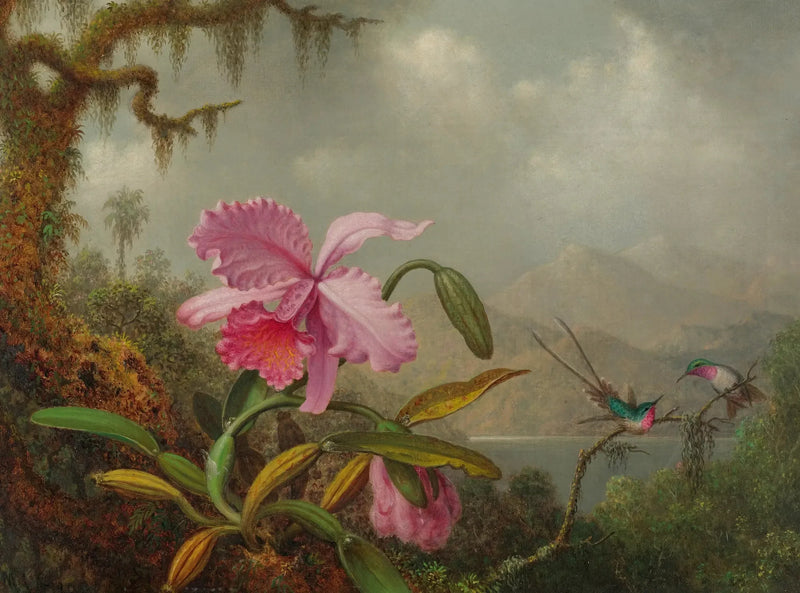 Orchideeën en kolibries - Martin Johnson Heade

Source:
Orchidées et colibris - Martin Johnson Heade