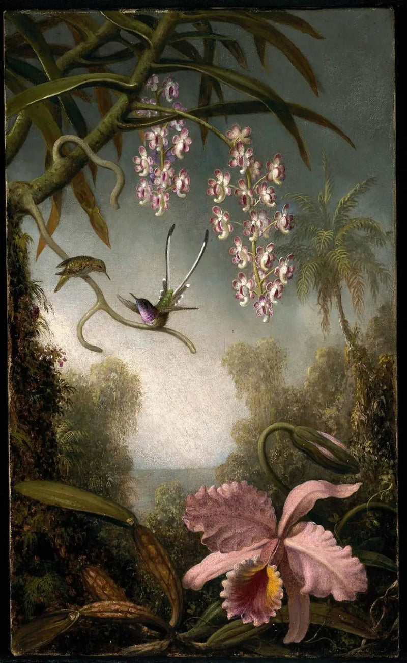 Orchideeën en orchideeën in spray met kolibrie - Martin Johnson Heade

Source:
Orchidées et orchidées en spray avec colibri - Martin Johnson Heade