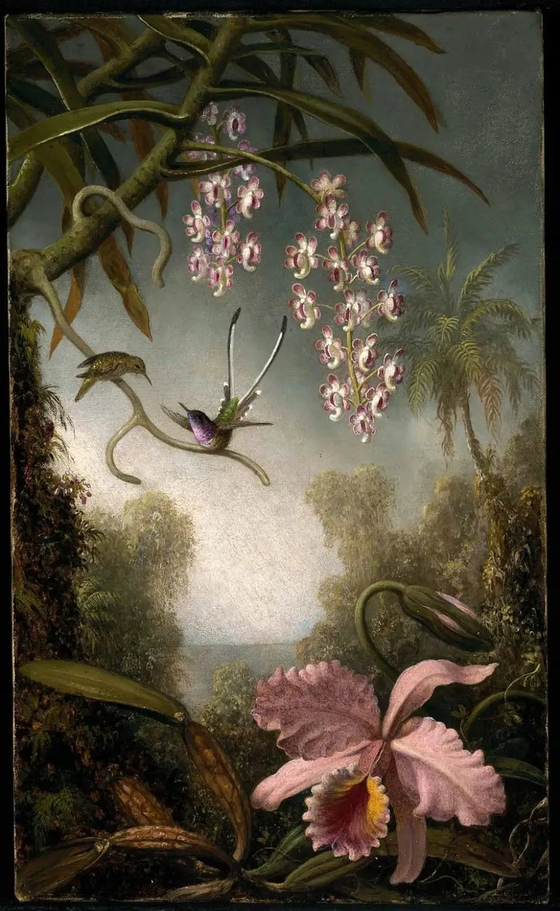 Orchideeën en orchideeën in spray met kolibrie - Martin Johnson Heade

Source:
Orchidées et orchidées en spray avec colibri - Martin Johnson Heade