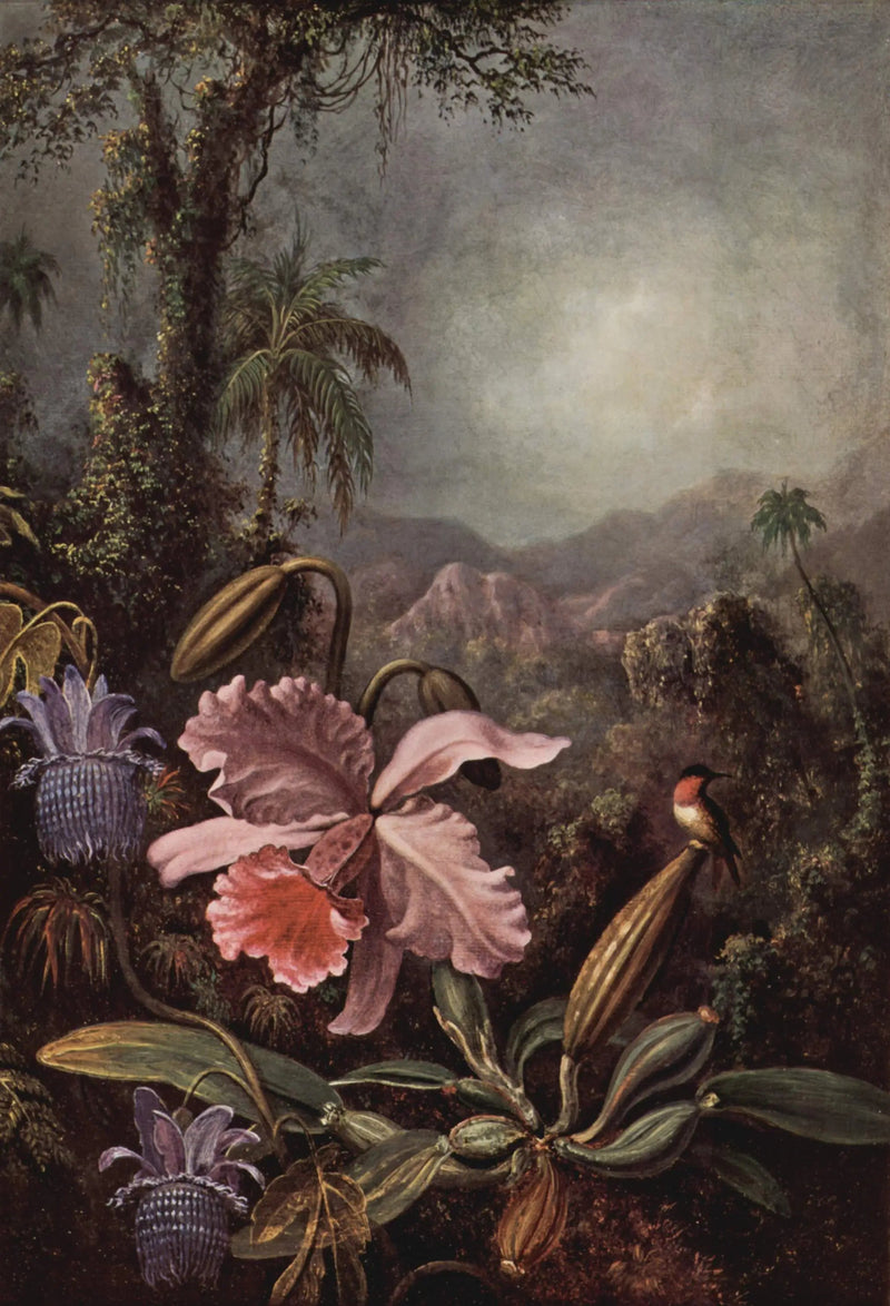 Orchideeën, passifloras en kolibries - Martin Johnson Heade

Source:
Orchidées, passiflores et colibris - Martin Johnson Heade