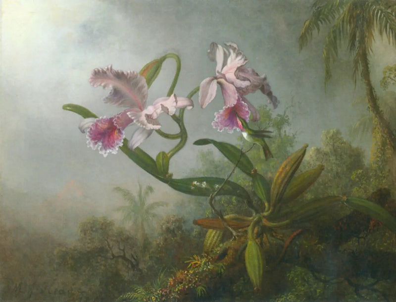 Rozenorchideeën en kolibrie op een takje - Martin Johnson Heade

Source:
Orchidées roses et colibri sur une brindille - Martin Johnson Heade