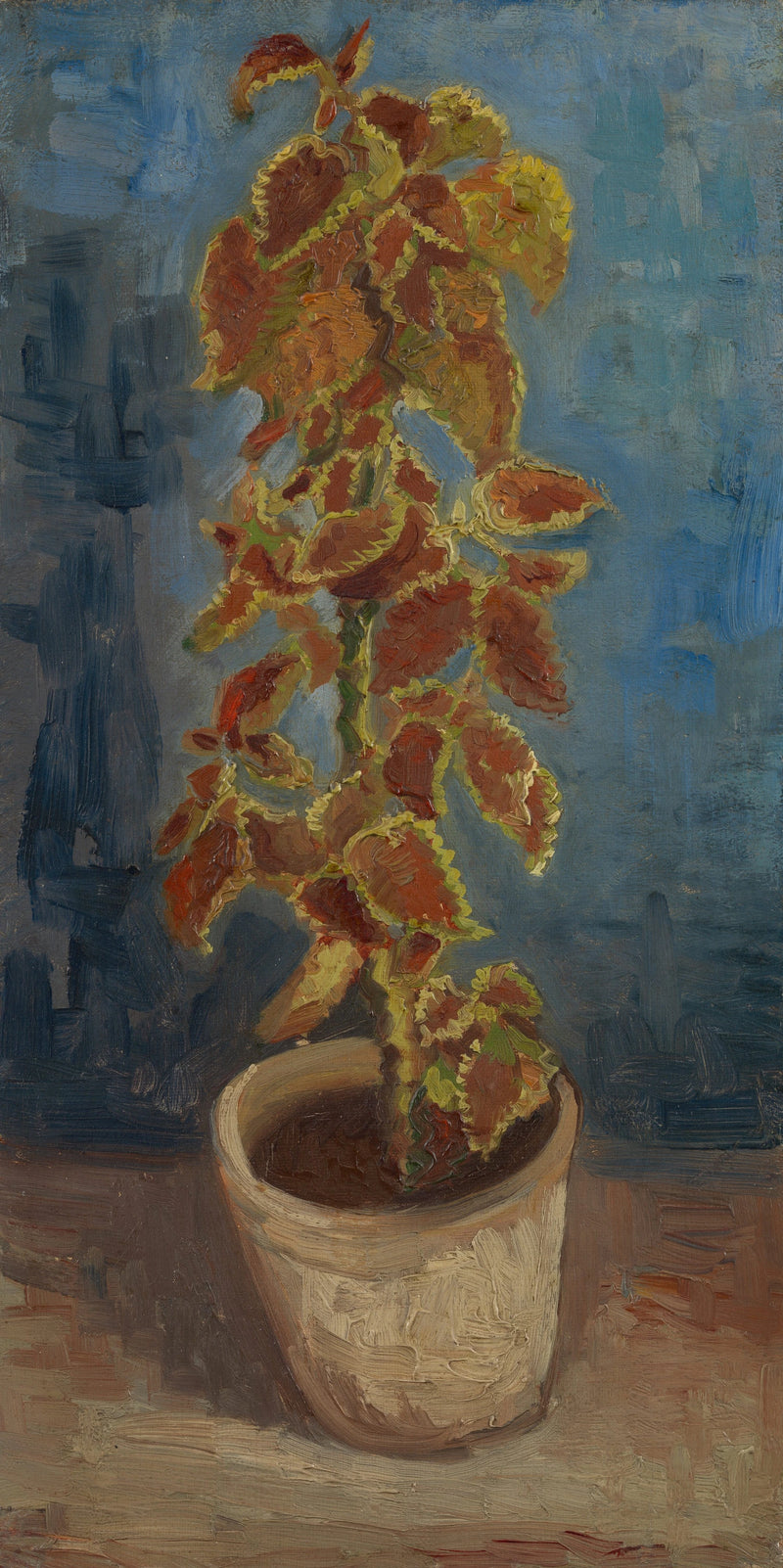 Vurige brandnetel in bloempot - Vincent van Gogh