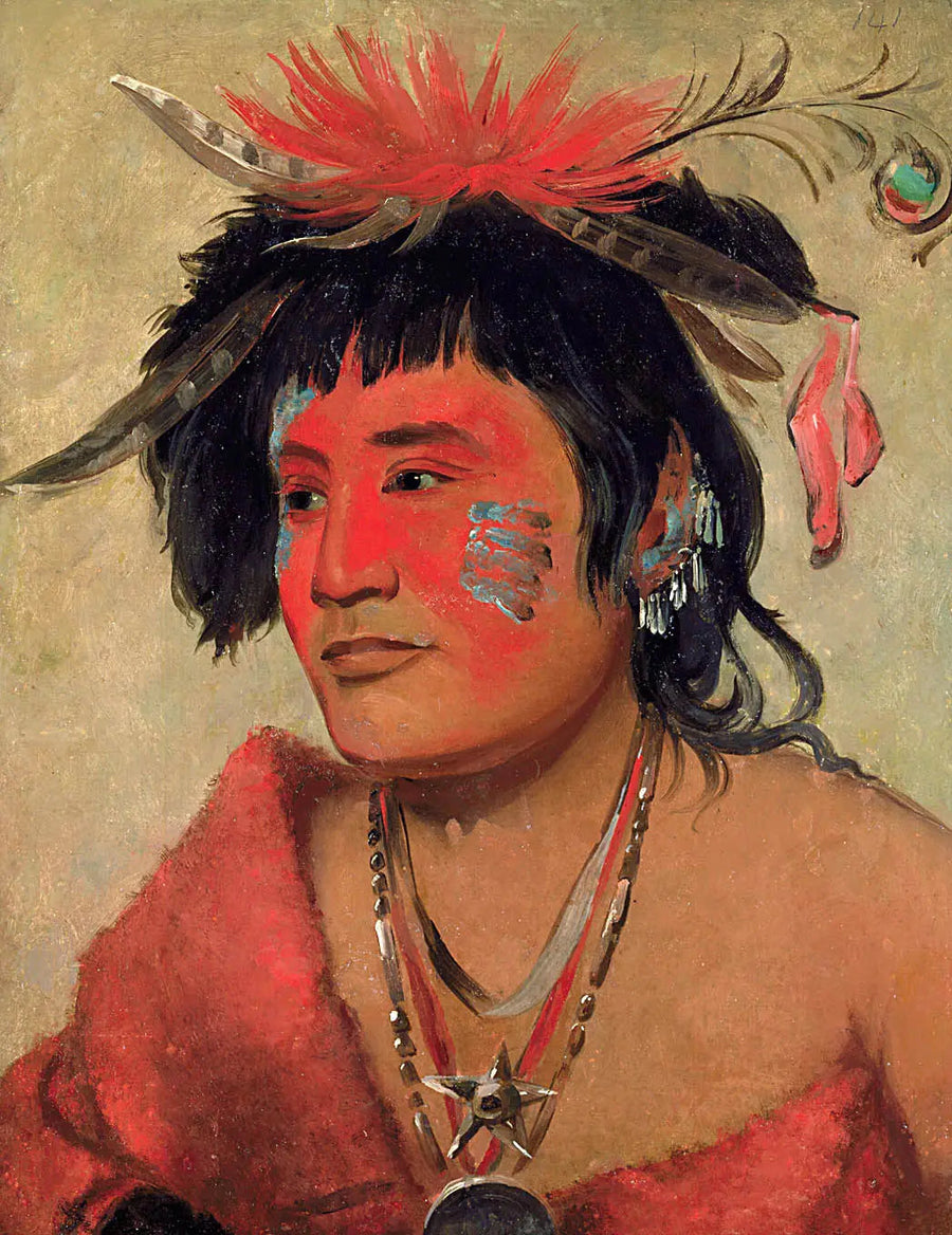 Pah-shee-náu-shaw, een krijger - George Catlin

Source:
Pah-shee-náu-shaw, un guerrier - George Catlin