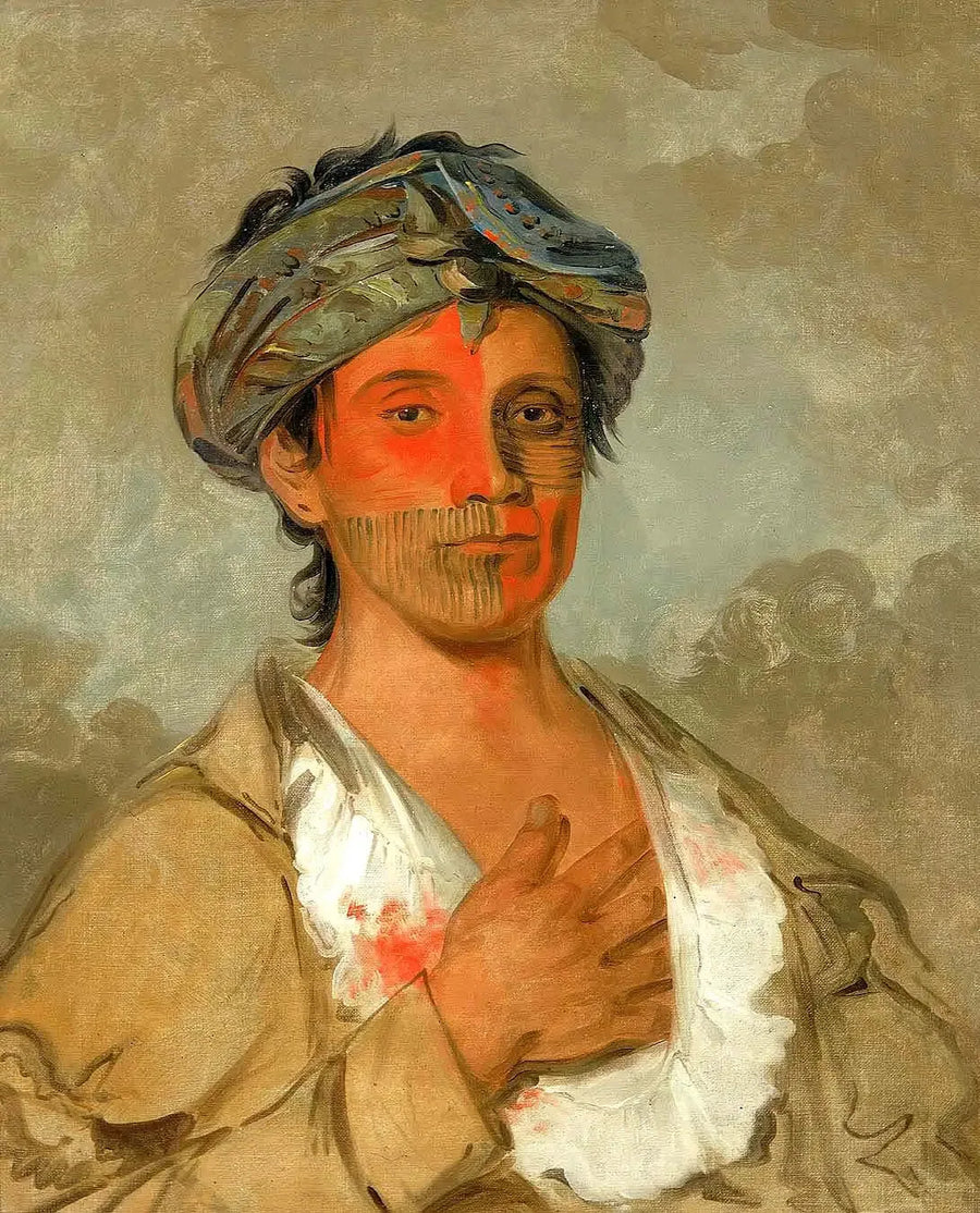Pah-te-cóo-saw, heteroseksuele man, semi-bebouwd - George Catlin

Source:
Pah-te-cóo-saw, homme hétéro, semi-civilisé - George Catlin